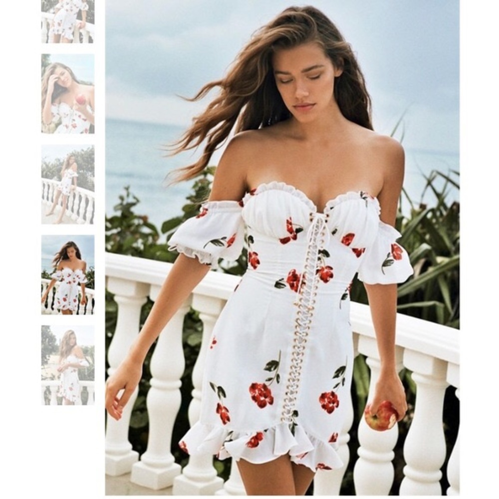⚡️FOUND⚡️Sabo Skirt Rose Corset Mini Dress XS